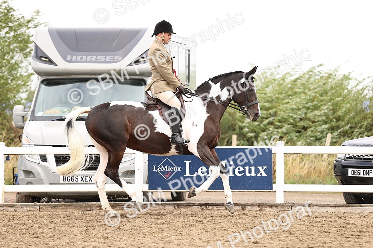 SBM_01456 - Class 54 - Riding Club Horse Pony