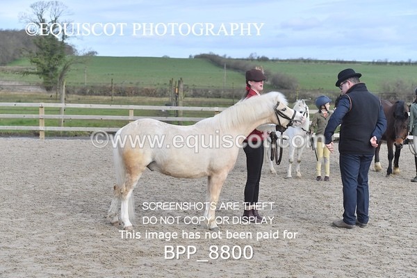 BPP_8800 - RING 2 - M&M