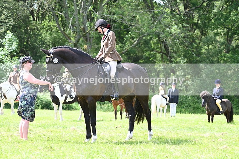 WJ7_1468 - Class 11 Condition & Turnout