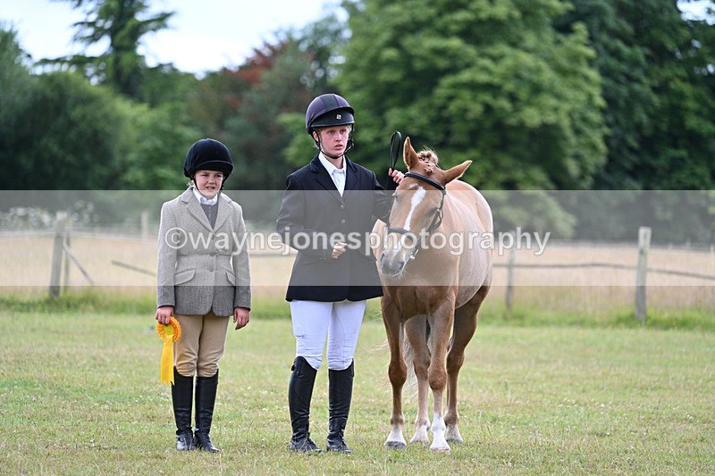 WJ7_7345 - Champs