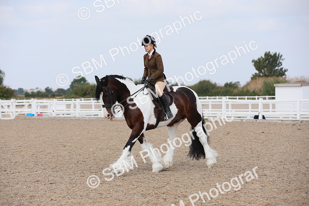 SBM_13432 - Class 308 Ridden Coloured Horse