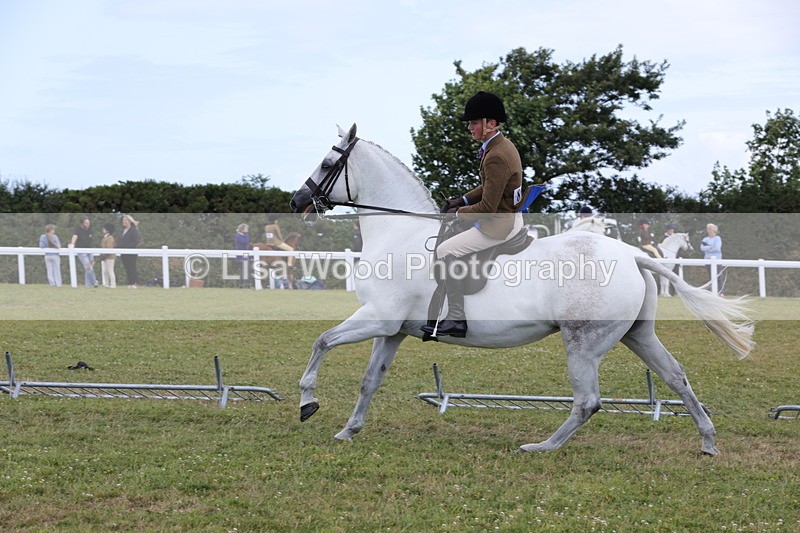 1X9A4158 - Class 33: Intermediate SRT/SH