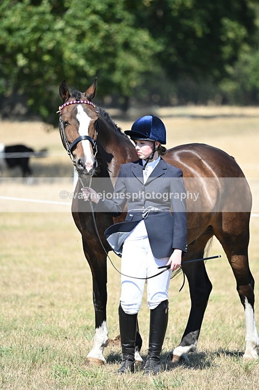 WJ6_8687 - Class 37b Best Loan Pony In-hand