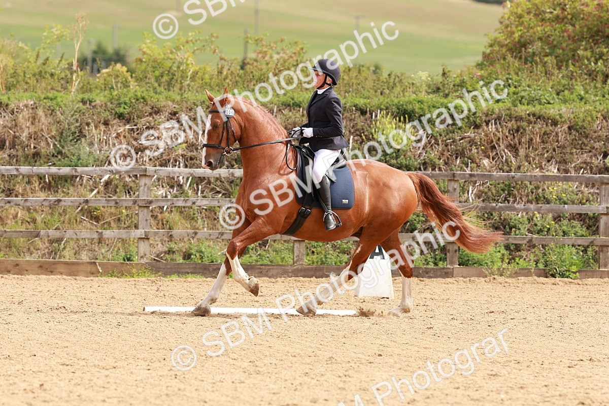 SBM_001339 - Prelim 2