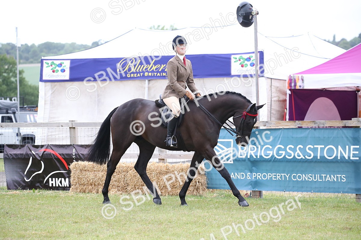 SBM_11397 - Class 94 - LIHS BSHA Racehorse to Showhorse