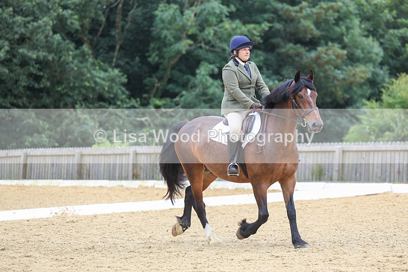 3E7A5177 - Class 2: Intro 4 2024 section B