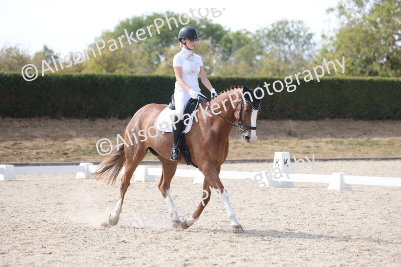 20260815-1127 - Class 6 - Novice 2