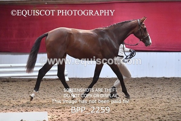 BPP_2259 - AFTERNOON 12.30 - 3.30PM