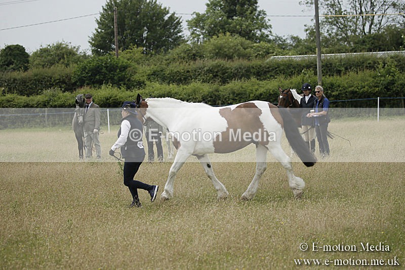 B230619-0393 - Bourne Valley Riding Club Summer Show 23/06/19