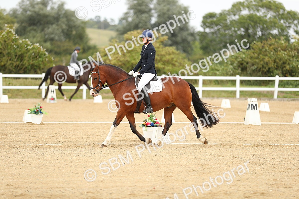 SBM_017641 - Class 13 - Novice 23 - 14.27-15.16