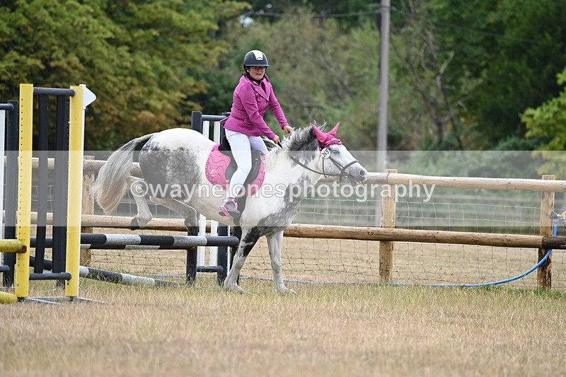 WJ6_0336 - Class 13 Novice Jumping 60cm