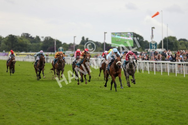 150624-Race 5-The Strikin Viking-6185 - Race 5 4.10pm Reg Griffin Appreciation ebfstallions.com Maiden Stakes