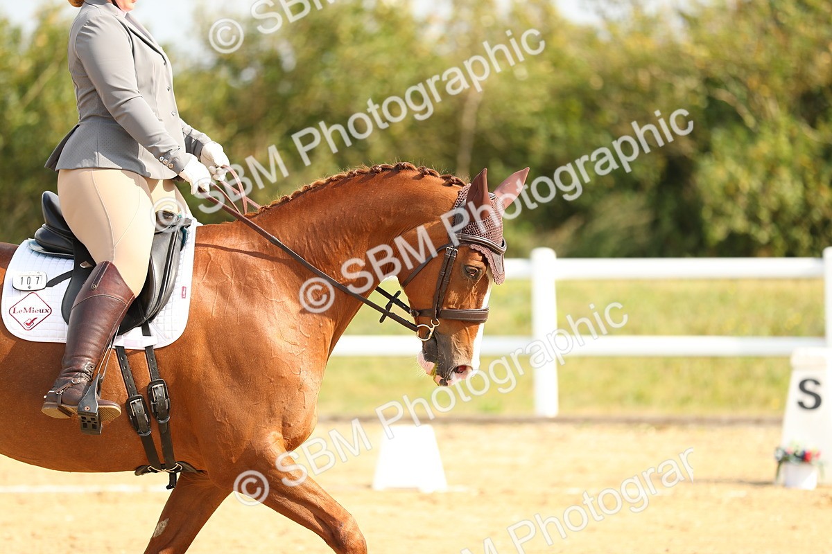 SBM_015446 - Class 14 - Novice 23 - 9.05-10.08