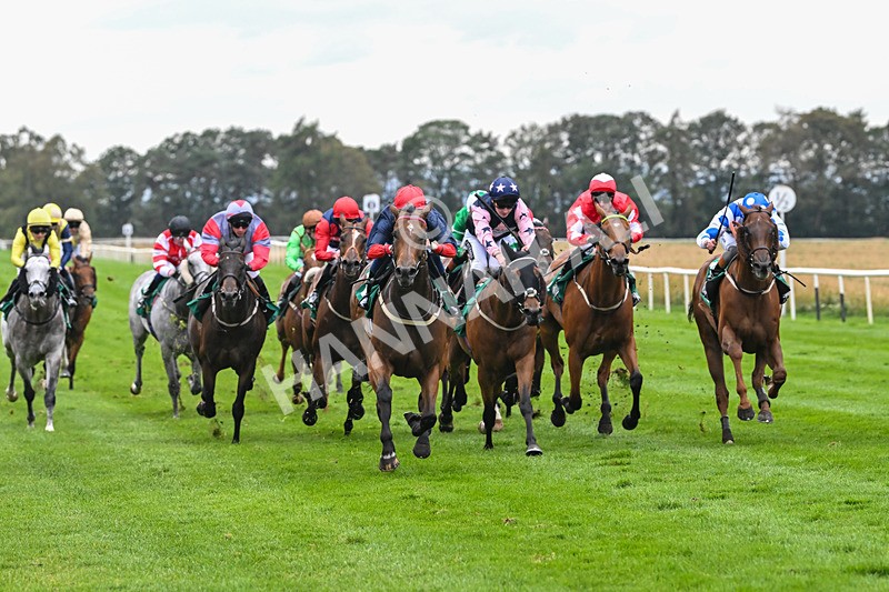 060925-Race 5-Eternal Sunshine-5860 - Race 5