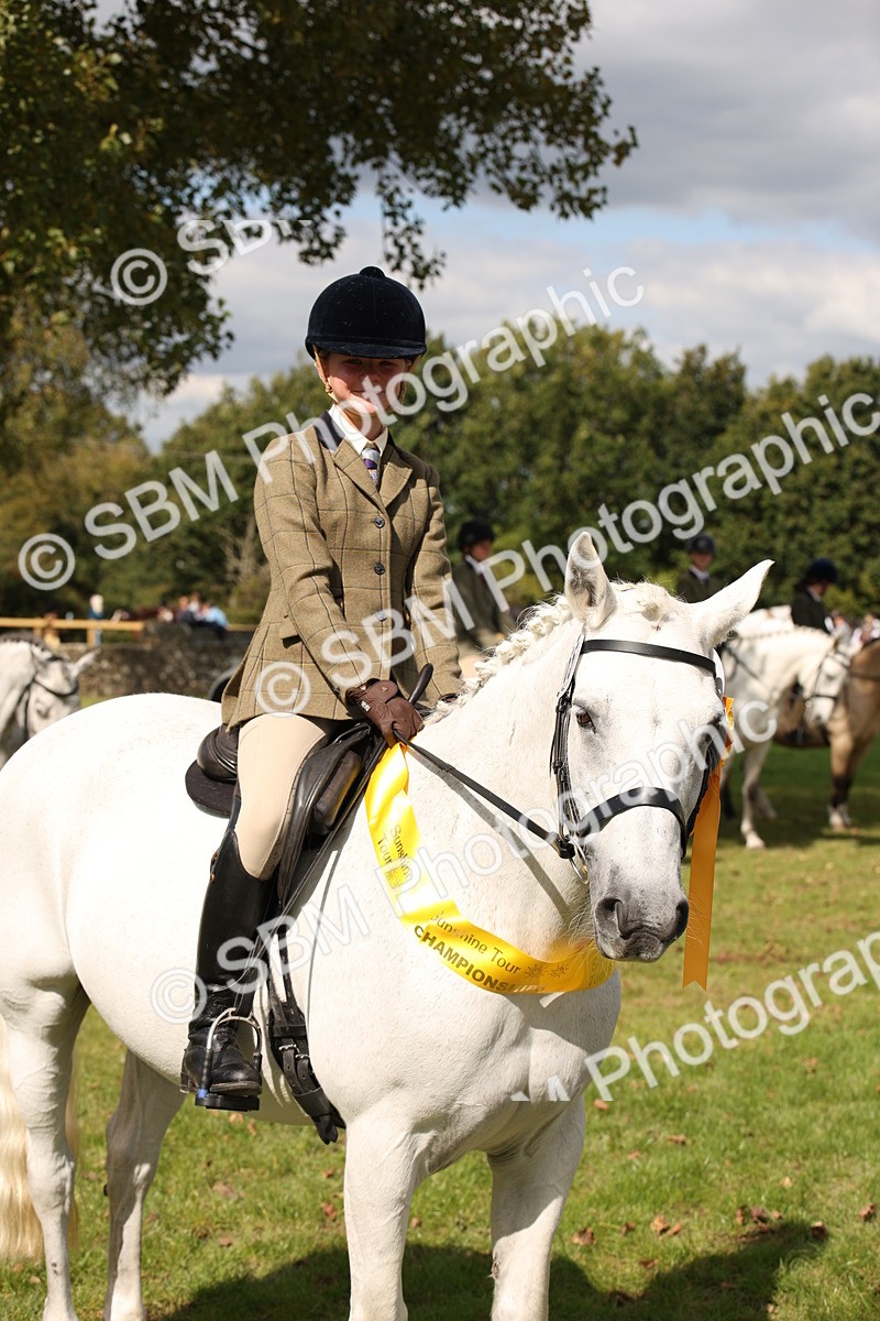 SBM_42391 - S13 - Pony Club Pony