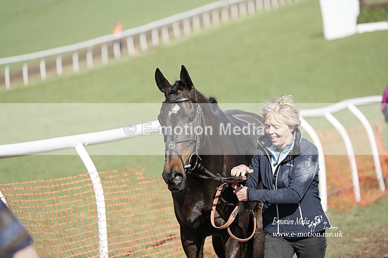 PtP 100423 933 - Old Berkshire Point-to-Point Lockinge 10/04/23