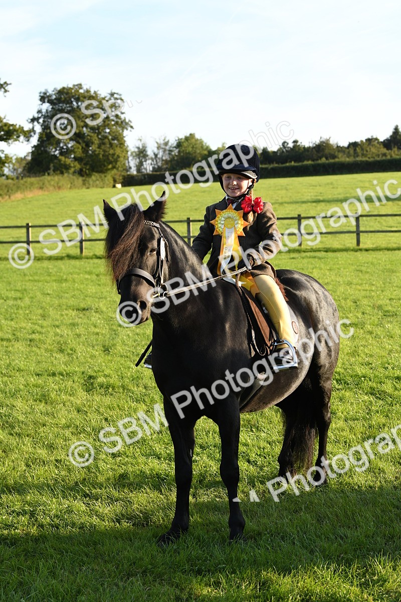 SBM_54182 - S23 - 1st Ridden Mountain & Moorland Pony