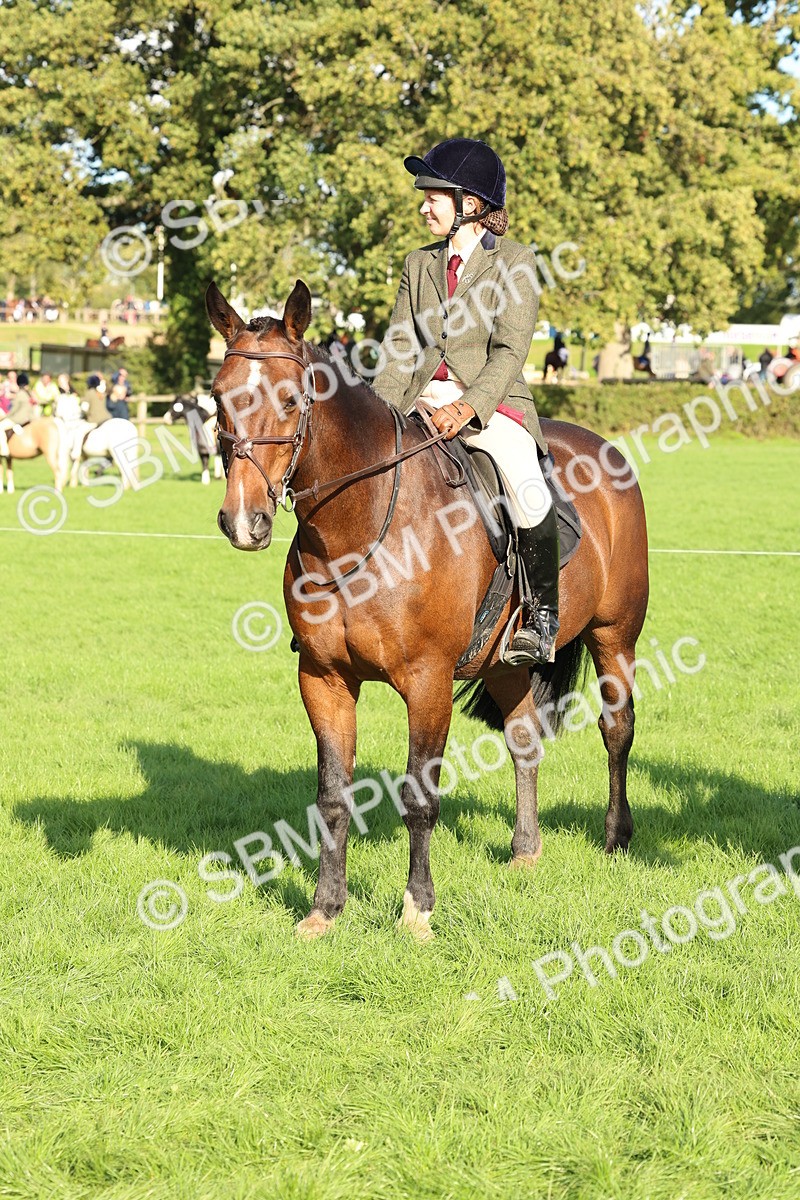 SBM_50165 - S34 - Novice & Newcomers Working Hunter