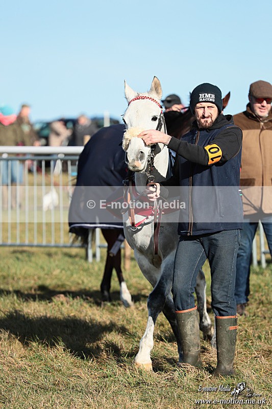 PR PtP 240126 247 - Pony Racing Horseheath 24/01/26