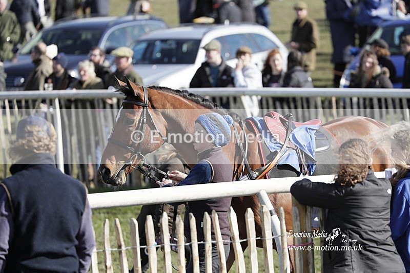 PtP 100423 973 - Old Berkshire Point-to-Point Lockinge 10/04/23