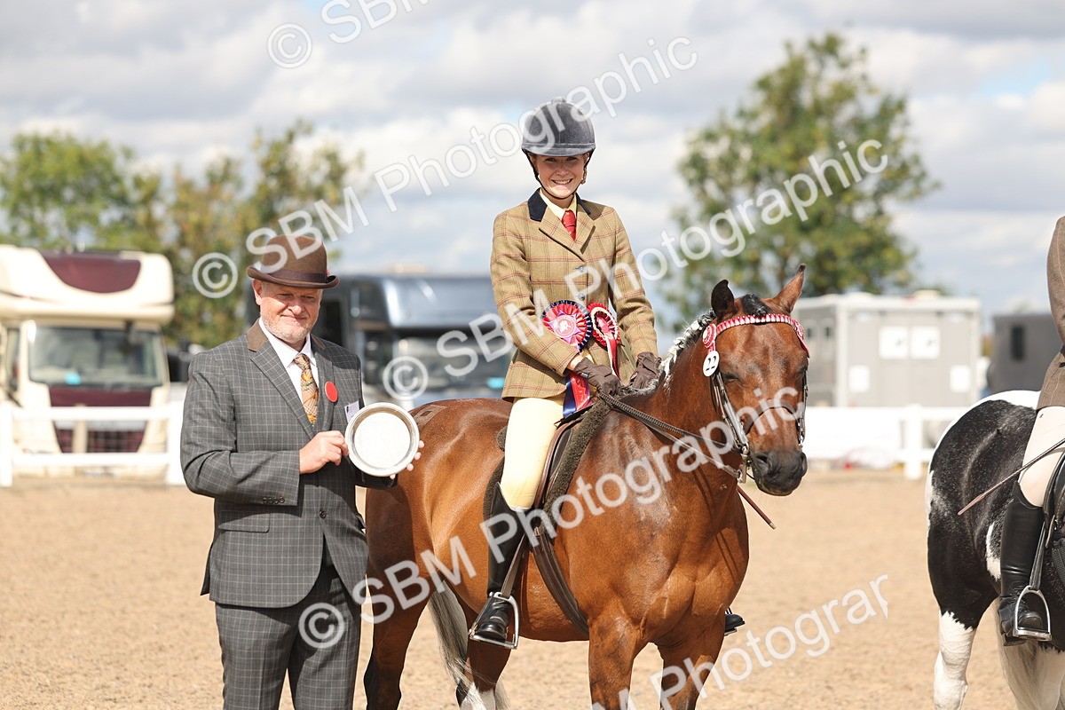 SBM_14674 - Class 307 - Ridden Coloured Pony