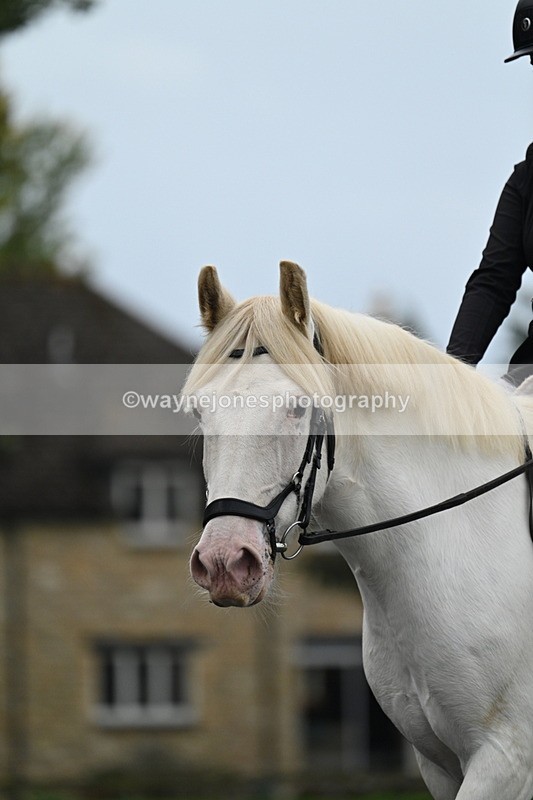 WJ7_2855 - Time 09:00 to 09:35