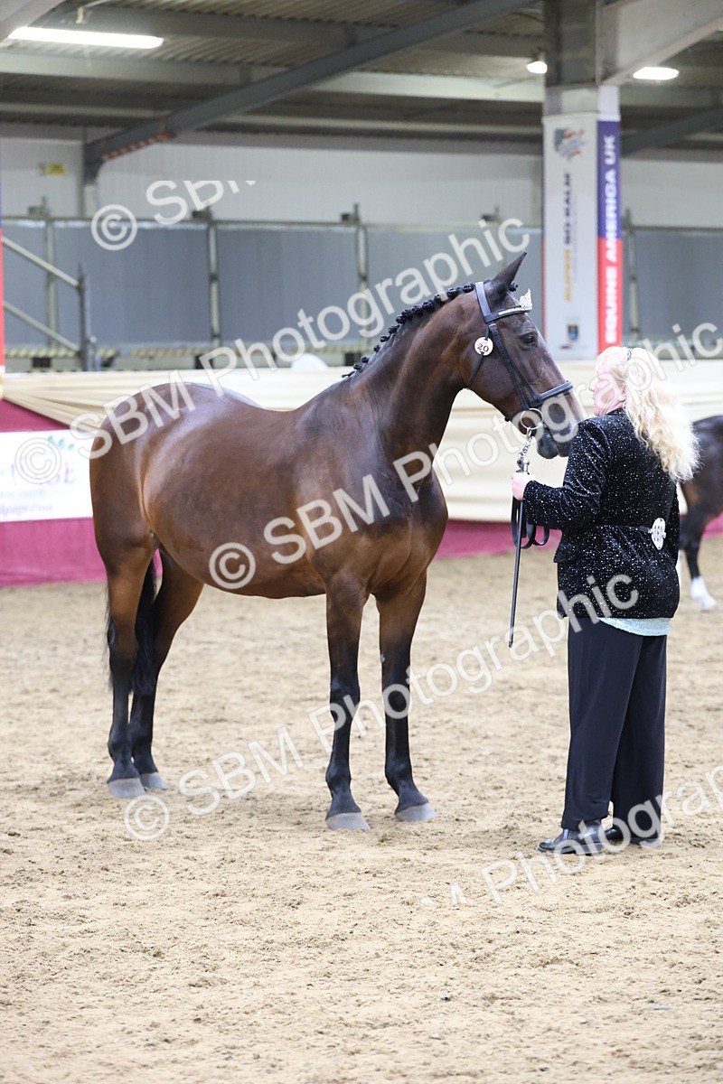 SBM_20165 - Class C - Novalty Champ