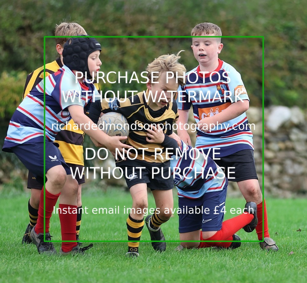 533A5309 - Kendal Rugby Under 9's (5/10/25)