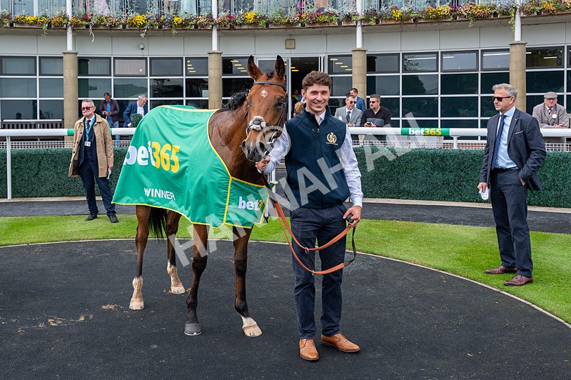 240525-Race 3-Old Is Gold-7056 - Race 3