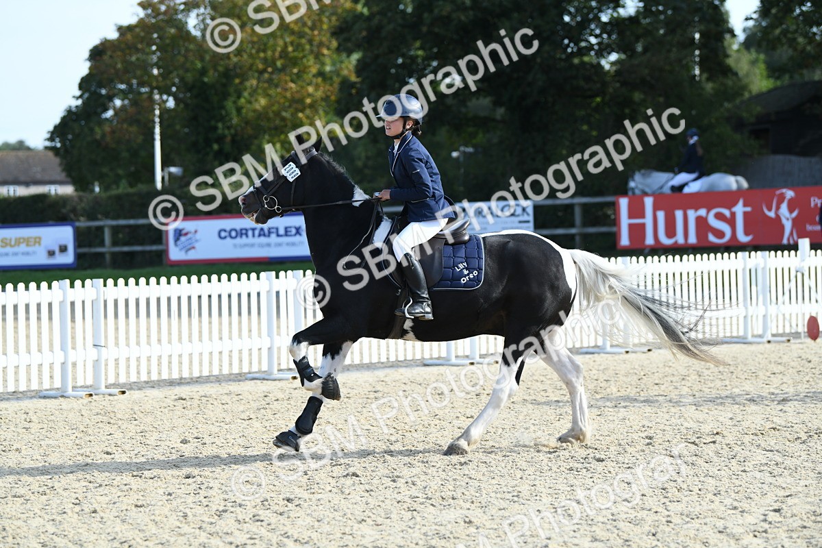 SBM_60616 - j25 - Junior Horse 80cm Championship