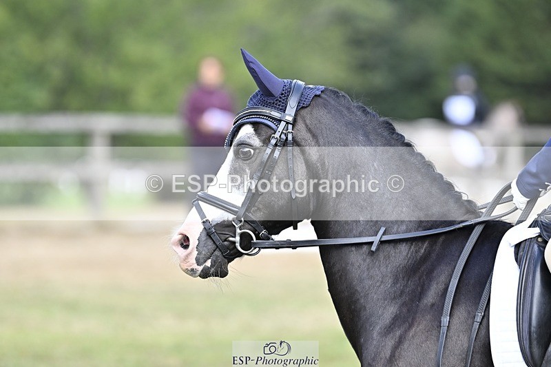 250821A-104704-14543 - DR 10.00 to 11.00