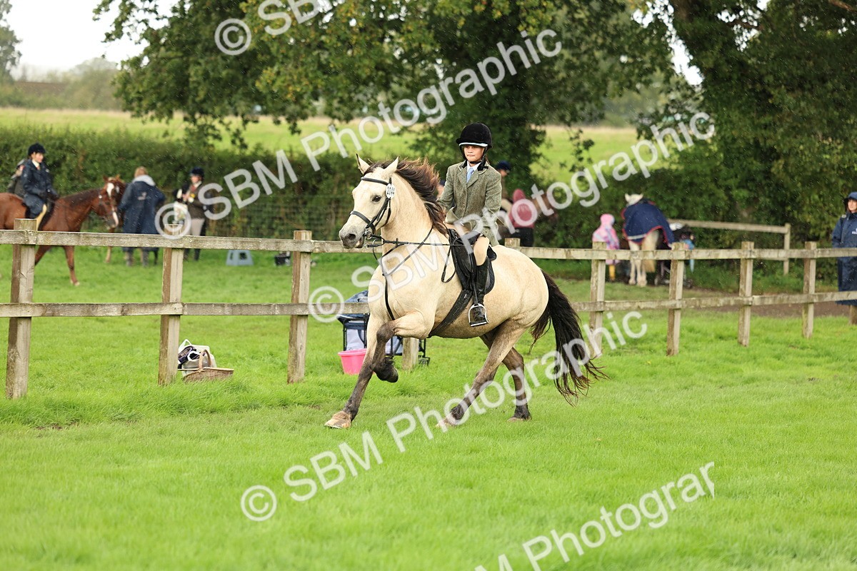 1I0A1503 - S32 - Mountain & Moorland Working Hunter Pony