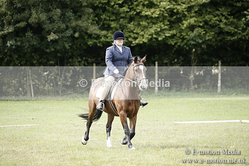 BVR080918 170 - BVRC Novice Dressage & CR 08/09/18