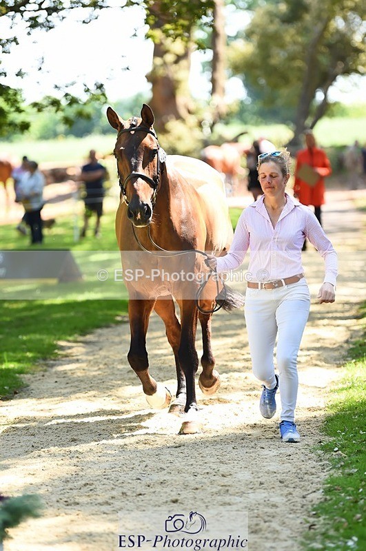 230524-150358-00043 - 305-BARRINGTON_57-Izzy_Taylor-WEDTrotUp+DR