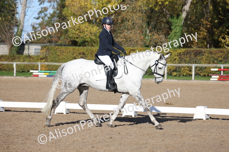 20251102-0453 - Class 3 - Novice 5