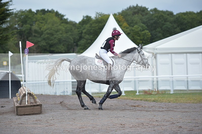 NGP_2446 - XC Time 11:37 to 11:57