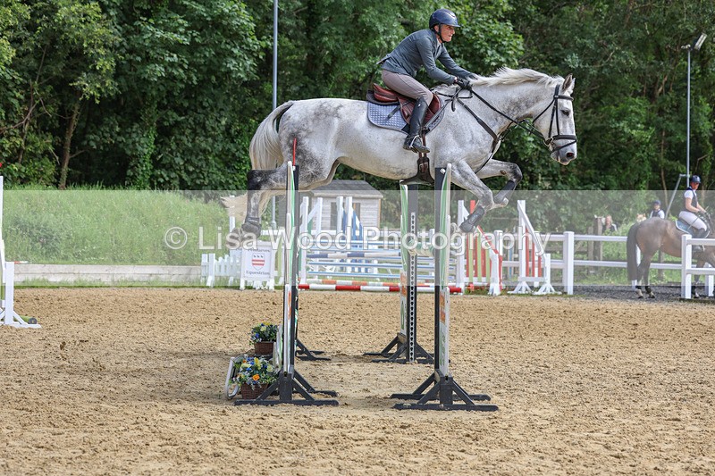 3E7A7584 - Class 9: Senior Foxhunter/1.20 open