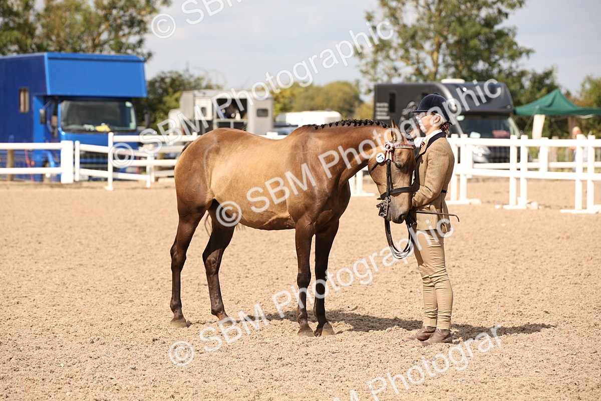 SBM_03791 - Class 19 Judge's Favourite