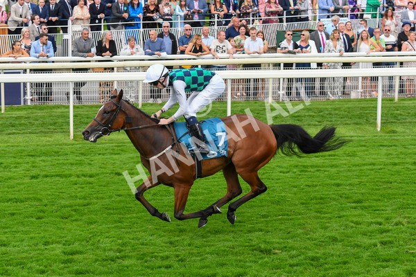 280723-Race 5-Midnight Mile-0552 - Race 5 7.15pm British EBF 40th Anniversary Lyric Fillies' Stakes