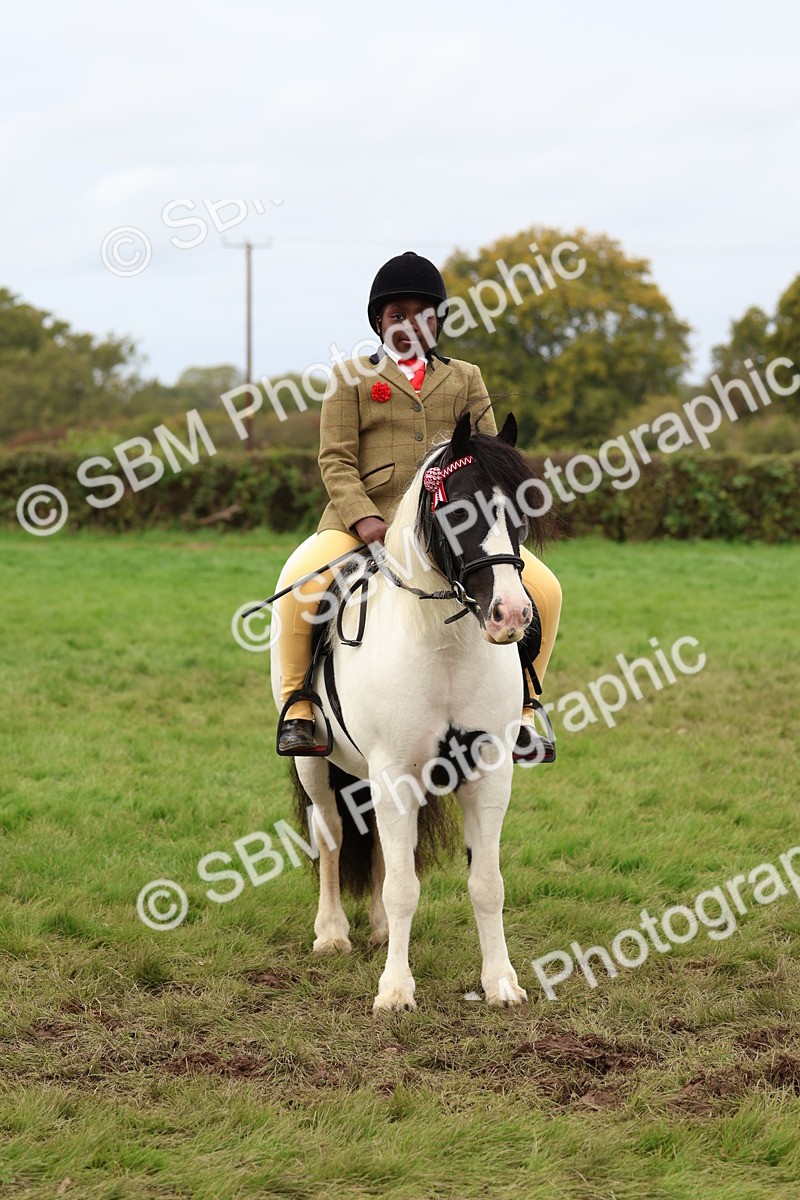 SBM_64474 - S58 - Coloured Pony Ridden