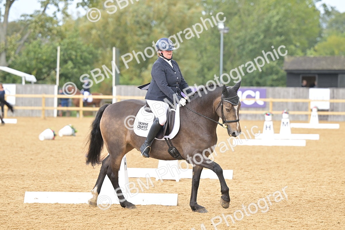 SBM_11104 - D3 - Small Tour Championship Intro 3