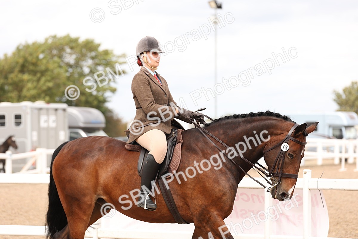 SBM_17176 - Class 213 - Ridden Hunter - Large