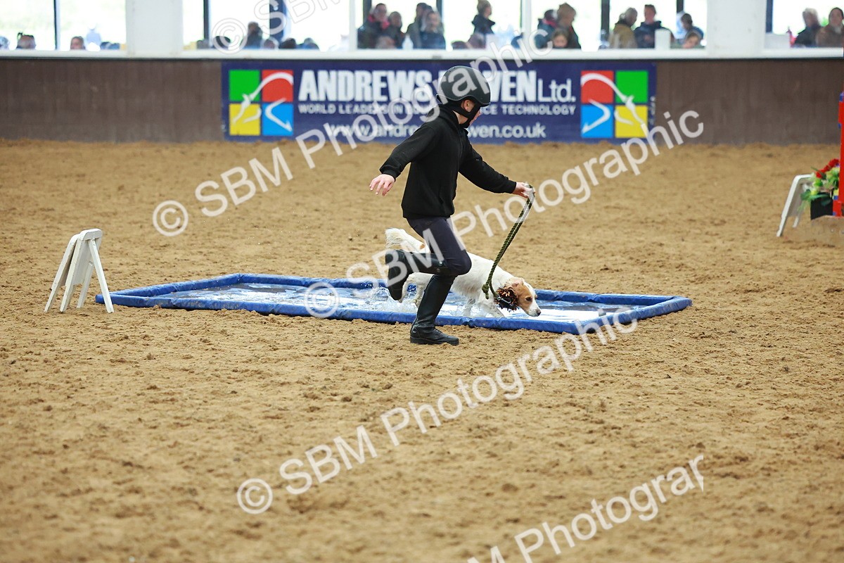 SBM_002547 - Class 3 - Horse & Hound (60cm)