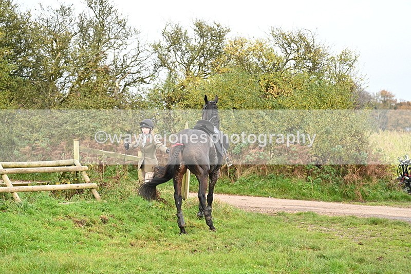 WJ7_0443 - Camera 1 & Last fence