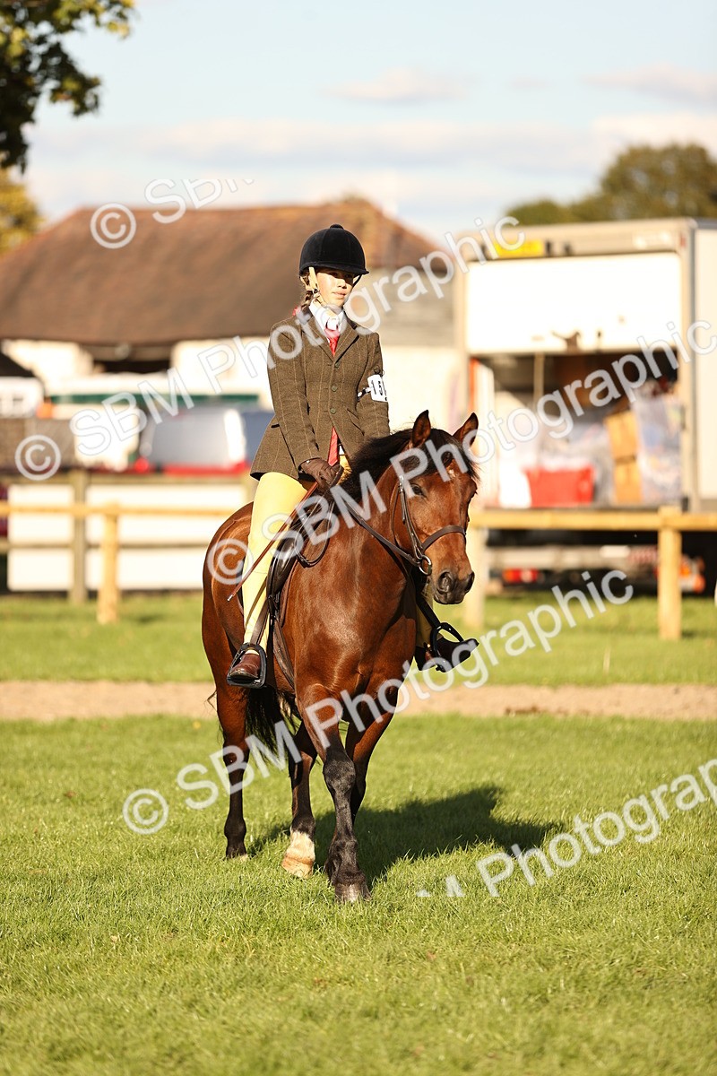 SBM_29397 - S7 - Novice & Newcomers Ridden Pony