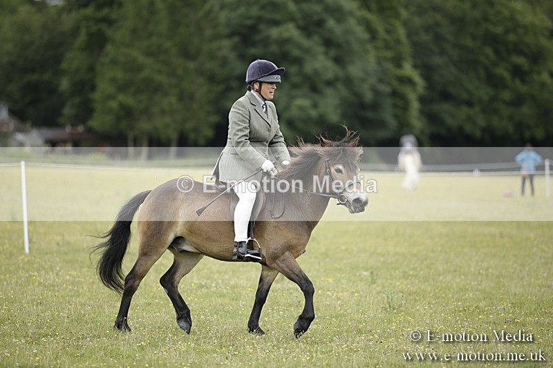 BVR160717-1313 - Ring 1 BVRC Show 16/07/17