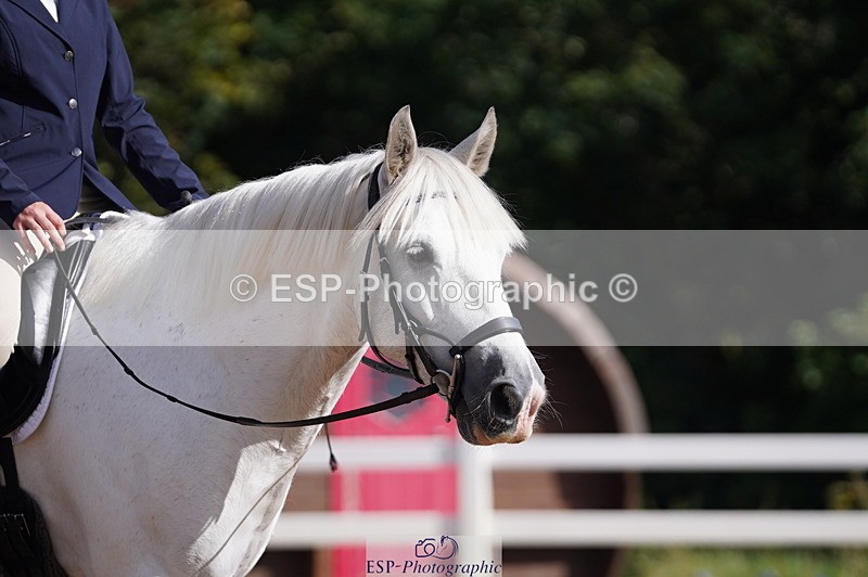 240809A-093244-00269 - Dressage Competition