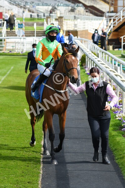 yr13052021r6-15 - Race 6 4.15pm Constant Security EBFstallions.com Maiden Stakes