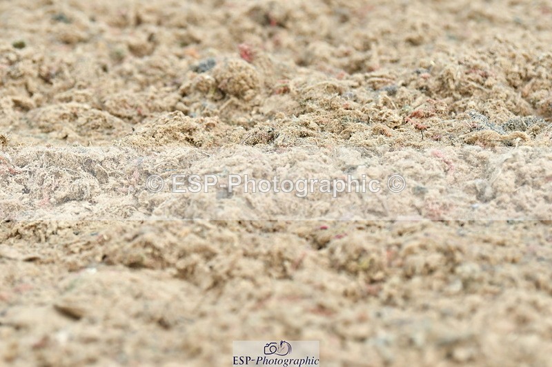 230701A-100534-04453 - Cls 2 Prelim 19