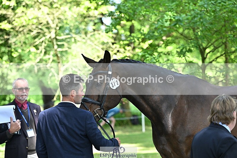 250521A-154941-00786 - B-372-Stephen.Heal-HISCO